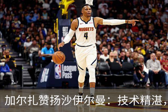 加尔扎赞扬沙伊尔曼：技术精湛，持续进步的进攻威胁
